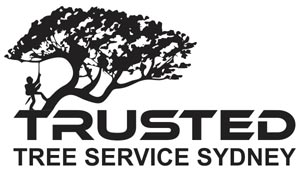 Palm Tree Removal Sydney