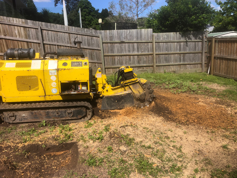 Stump Removal Sydney